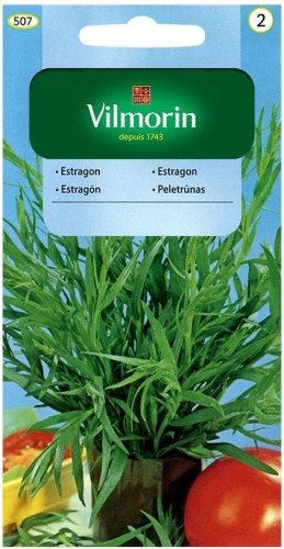 Estragon - nasiona ziół VILMORIN