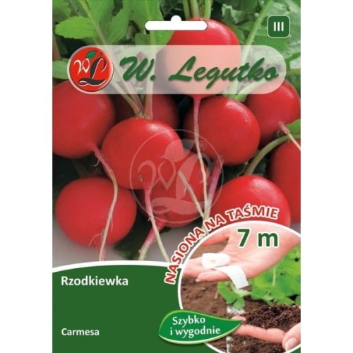 Rzodkiewka Carmesa na taśmie LEGUTKO