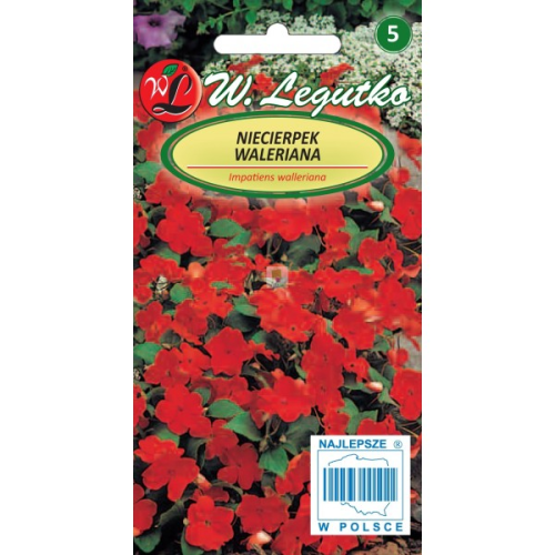 Niecierpek Waleriana Czerwony F2 LEGUTKO