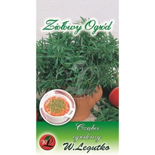 Cząber ogrodowy - zioła LEGUTKO