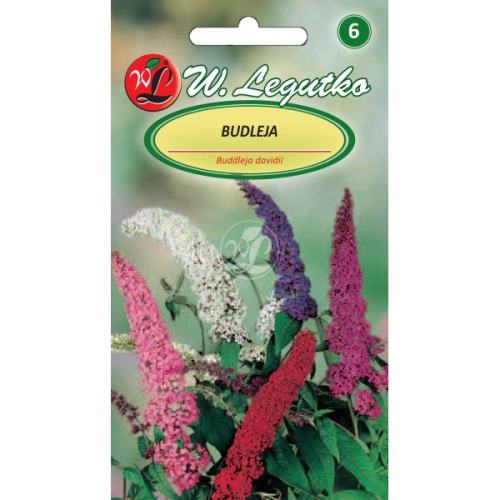 Budleja krzew Mix kolorów LEGUTKO