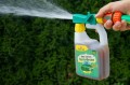 Nawóz do węża SprayGreen TUJA ZD 950ml