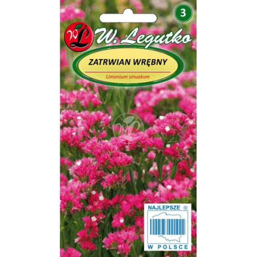 Zatrwian wrębny Karminowy LEGUTKO