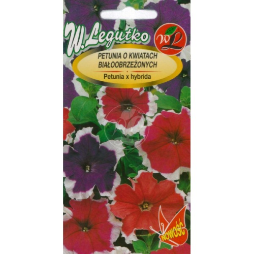 Petunia o kwiatach białobrzeżonych Mix LEGUTKO