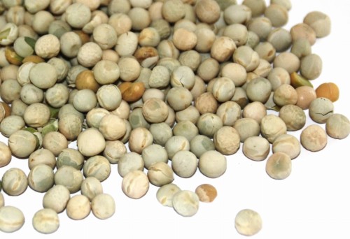 Groch Zielony paszowy 1kg