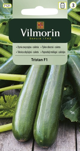 Cukinia zwyczajna Tristan F1 Zielona VILMORIN