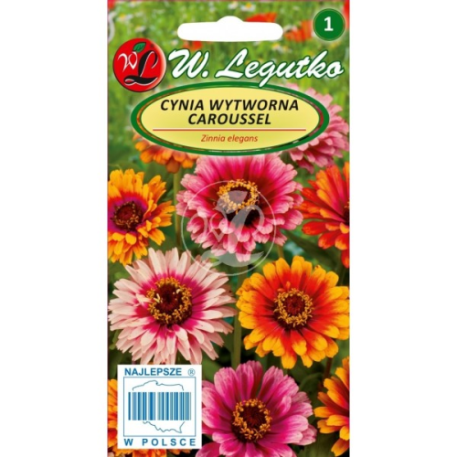 Cynia wytworna daliowa Caroussel Mix kolorów LEGUTKO