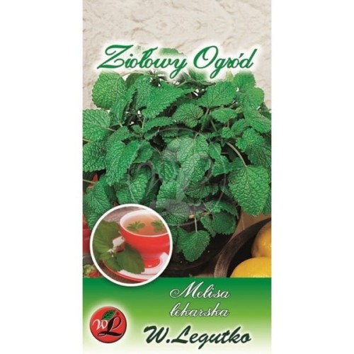 Melisa lekarska - zioła wieloletnie LEGUTKO