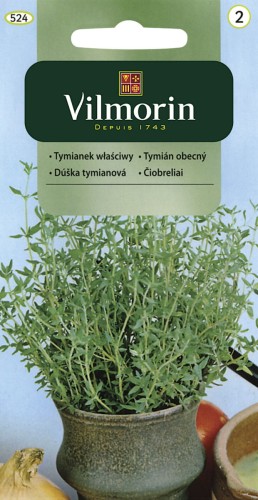 Tymianek właściwy - zioła wieloletnie VILMORIN