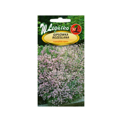 Gipsówka rozesłana Biało - Różowa LEGUTKO