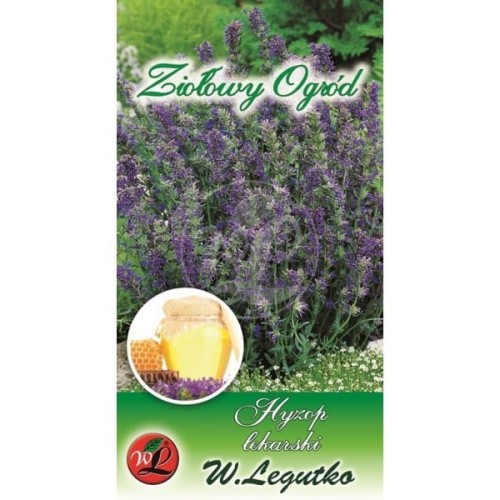 Hyzop lekarski - zioła wieloletnie LEGUTKO
