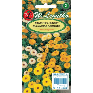 Nagietek lekarski karłowy Mix kolorów LEGUTKO