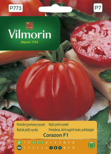 Pomidor gruntowy wysoki Corazon F1 VILMORIN