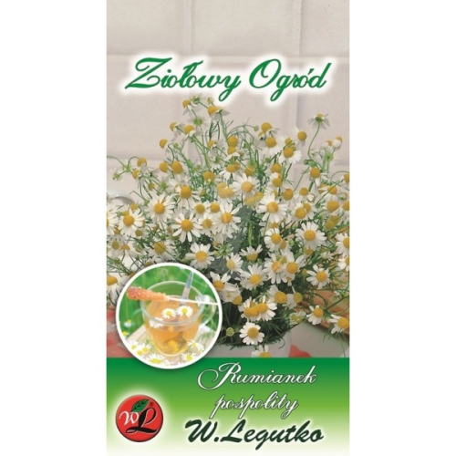 Rumianek pospolity - zioła LEGUTKO