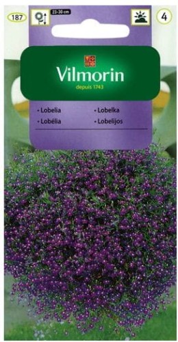 Lobelia zwisająca fioletowa VILMORIN
