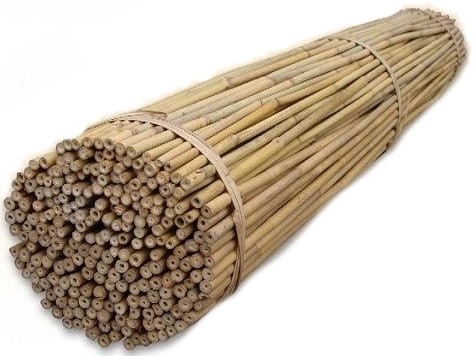 Tyczka bambusowa 150 cm 12-14 mm