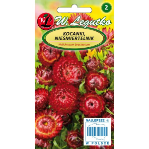 Kocanka, Nieśmiertelnik wysoka Czerwona LEGUTKO