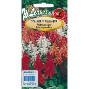 Szałwia błyszcząca Mix kolorów  LEGUTKO