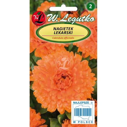 Nagietek lekarski Pomarańczowy LEGUTKO