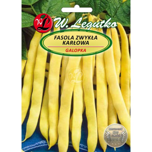 Fasola szparagowa PL karłowa Żółta Galopka LEGUTKO